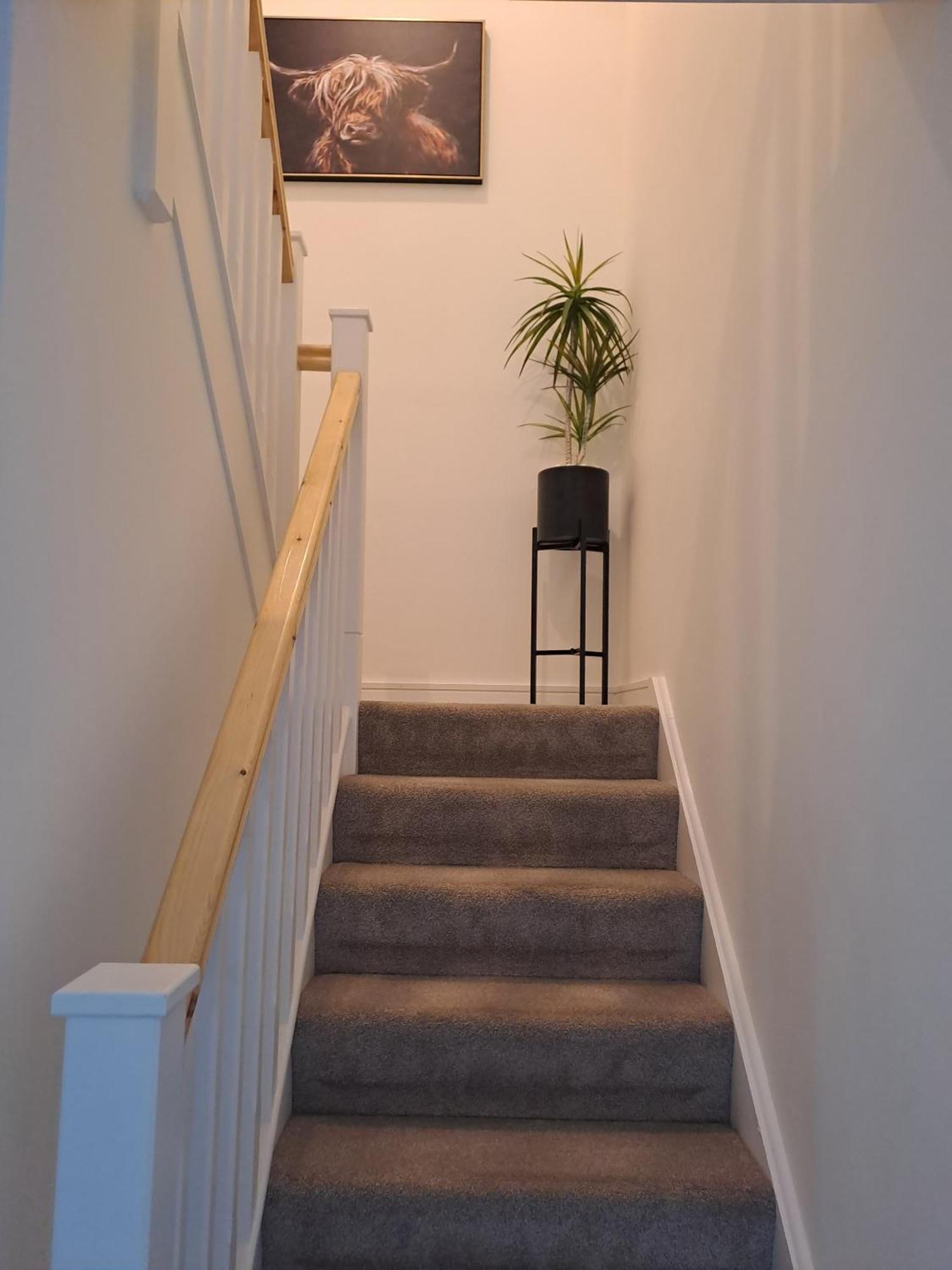 Cozy Bedroom In Lucan, 都柏林 外观 照片